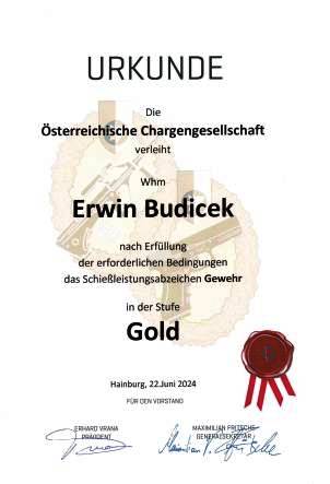 Schieleistungsabzeichen Gold 2024